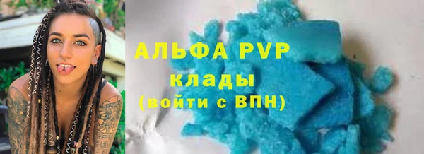 гашик Новокубанск