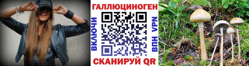 Псилоцибиновые грибы Magic Shrooms  hydra как зайти  Бавлы 